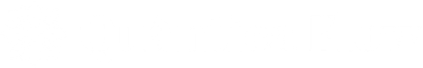 Quântica Flow